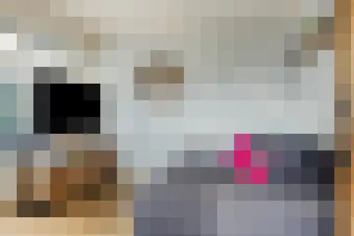 Folgeralaan 23 a Drachten thumbnail 17