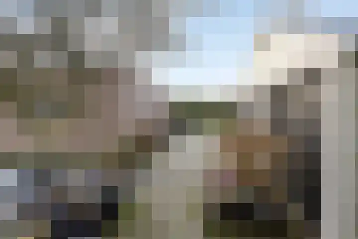 Folgeralaan 23 a Drachten thumbnail 48