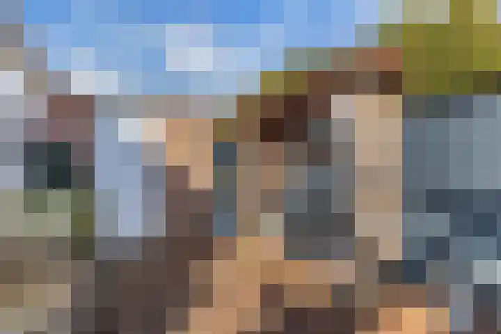 Fonejacht 32 Drachten thumbnail 30