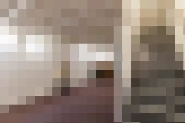 Fonejacht 32 Drachten thumbnail 36