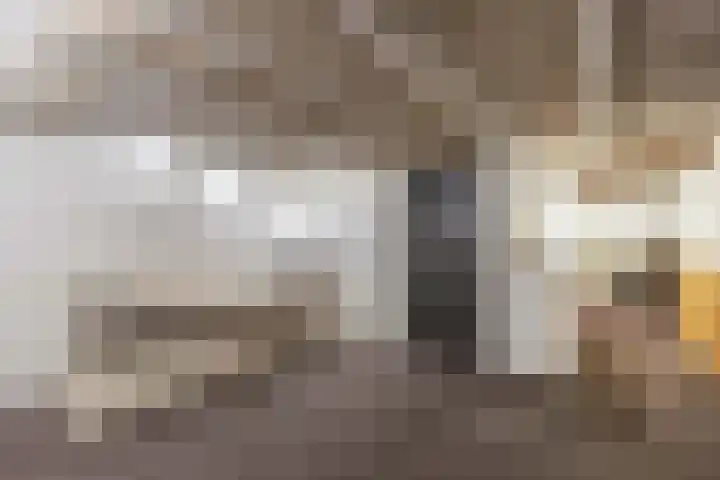 Fonejacht 32 Drachten thumbnail 39