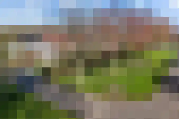 Fonejacht 32 Drachten thumbnail 53