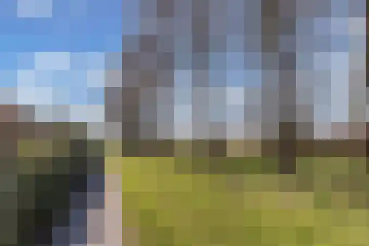 Fonejacht 32 Drachten thumbnail 54