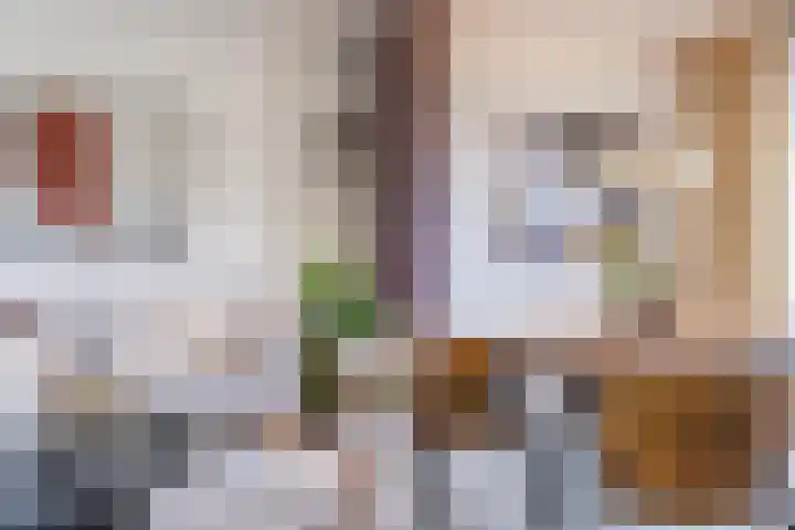 Fontanalaan 15 Eindhoven thumbnail 14