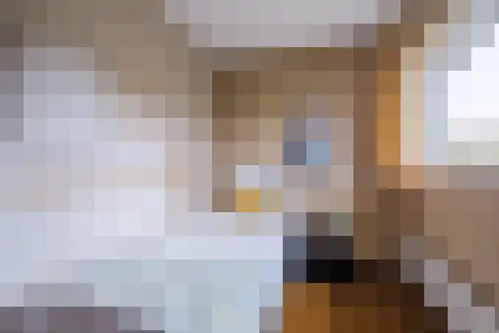 Fontanalaan 15 Eindhoven thumbnail 28