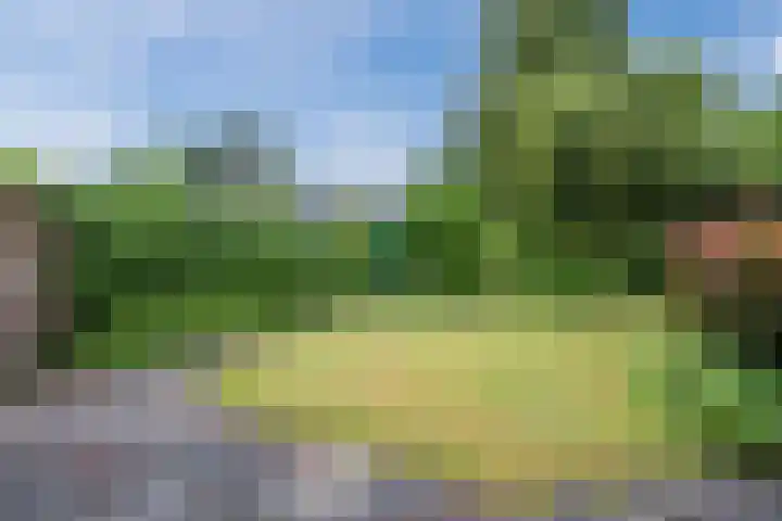 Fontanalaan 15 Eindhoven thumbnail 5