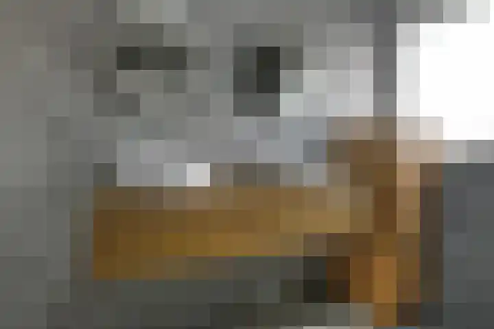 Fonteinkruid 11 Elst thumbnail 28