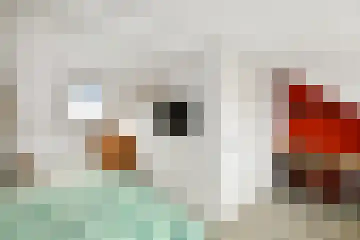 Fonteinkruid 11 Elst thumbnail 31