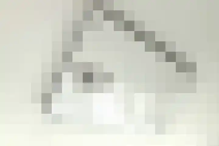 Fonteinkruid 11 Elst thumbnail 33