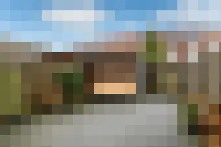 Fonteinkruid 11 Elst thumbnail 37
