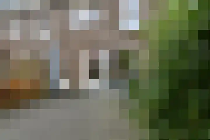 Fonteinkruid 11 Elst thumbnail 39