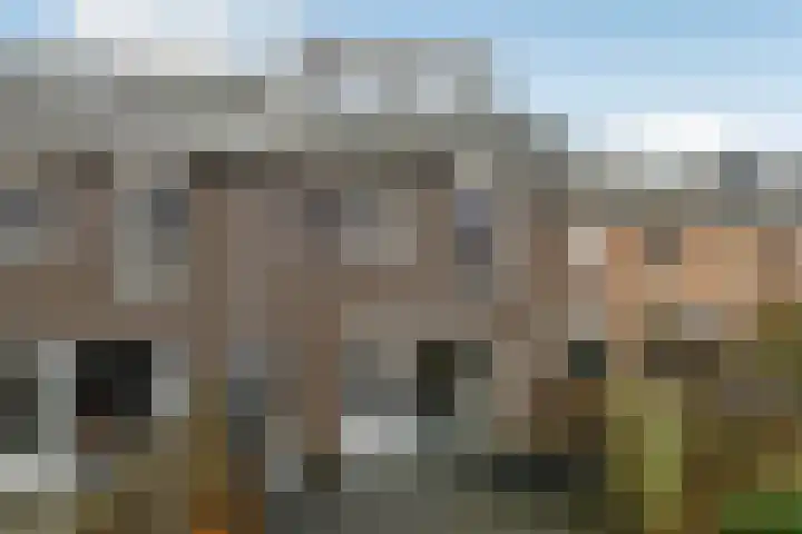 Fonteinkruid 11 Elst thumbnail 40