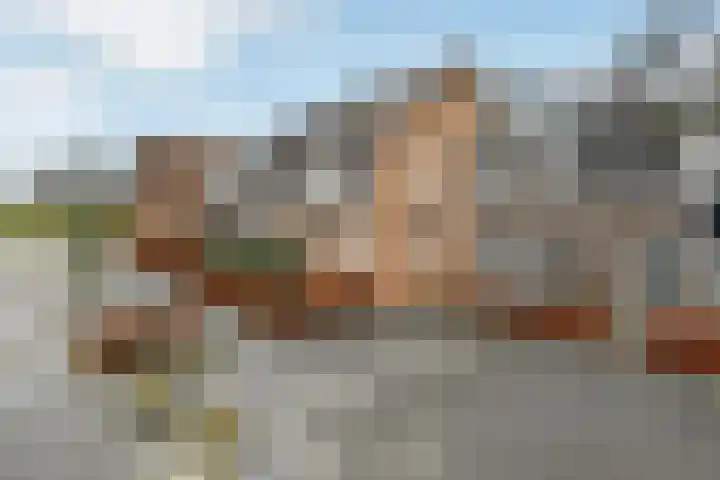 Fonteinkruid 11 Elst thumbnail 41