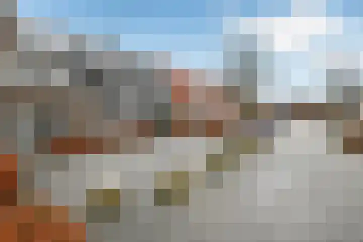 Fonteinkruid 11 Elst thumbnail 42