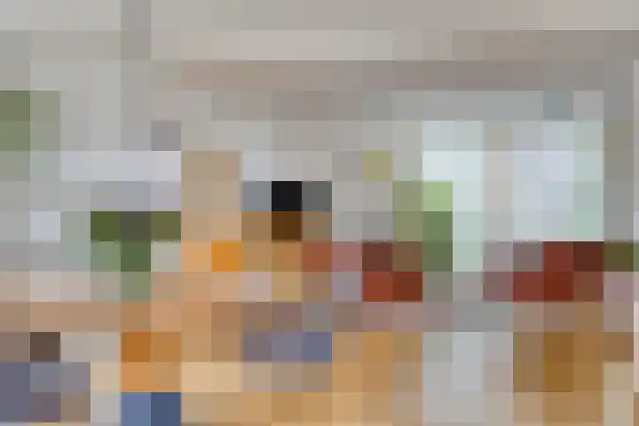 Fonteinkruid 208 Kampen thumbnail 17