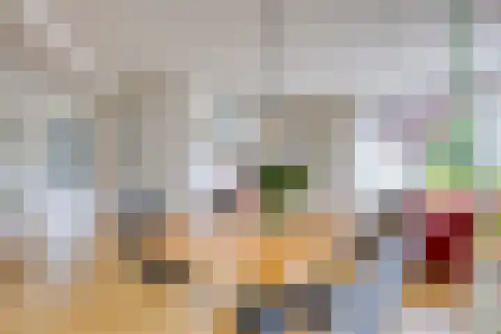 Fonteinkruid 208 Kampen thumbnail 18