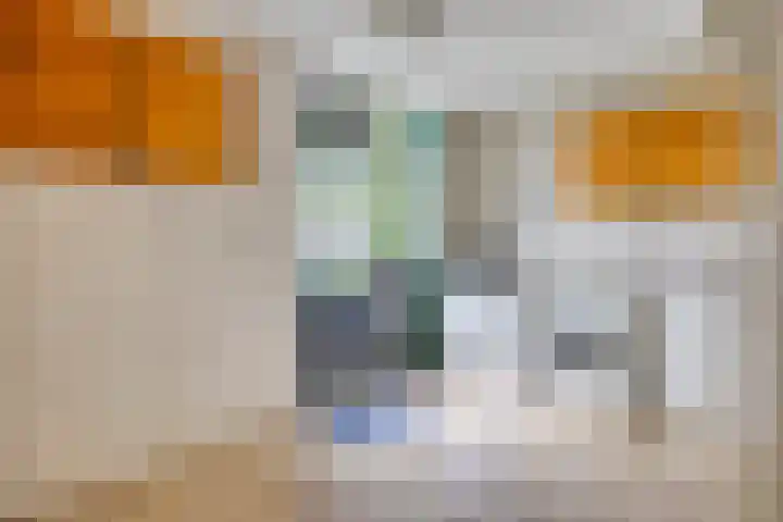 Fonteinkruid 208 Kampen thumbnail 25