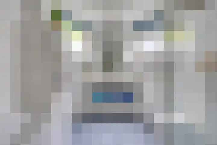 Fonteinkruid 208 Kampen thumbnail 33