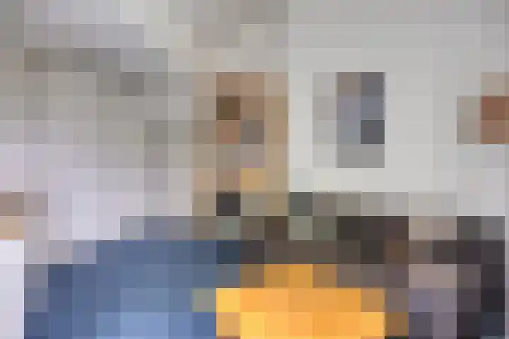 Fonteinkruid 208 Kampen thumbnail 43