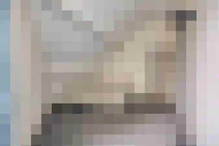 Fonteinkruid 208 Kampen thumbnail 46