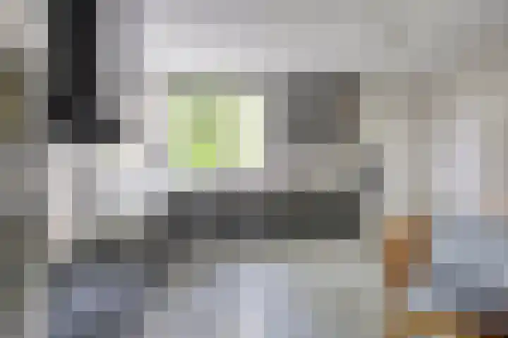 Fonteinkruid 208 Kampen thumbnail 5