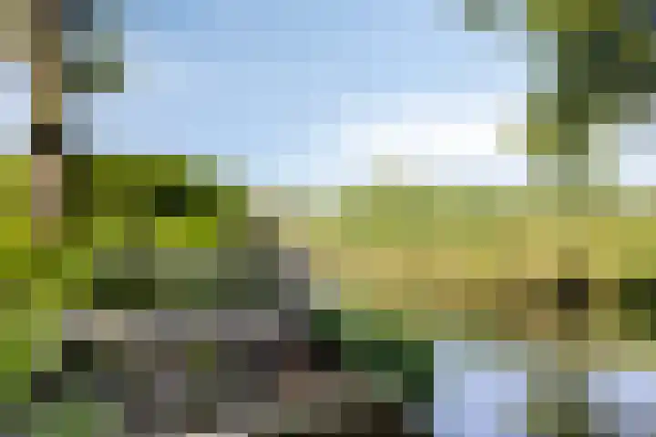 Fonteinkruid 208 Kampen thumbnail 54