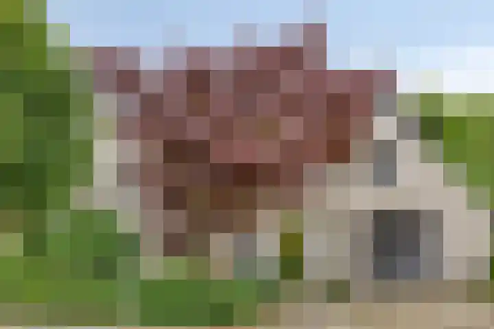 Fonteinkruid 208 Kampen thumbnail 57