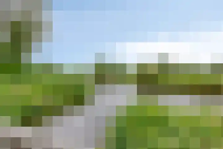 Fonteinkruid 208 Kampen thumbnail 60