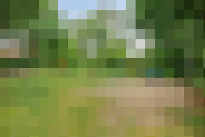 Fonteinkruid 208 Kampen thumbnail 61