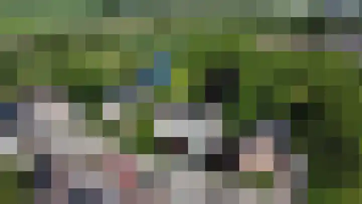 Fonteinkruid 208 Kampen thumbnail 64