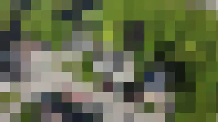 Fonteinkruid 208 Kampen thumbnail 65