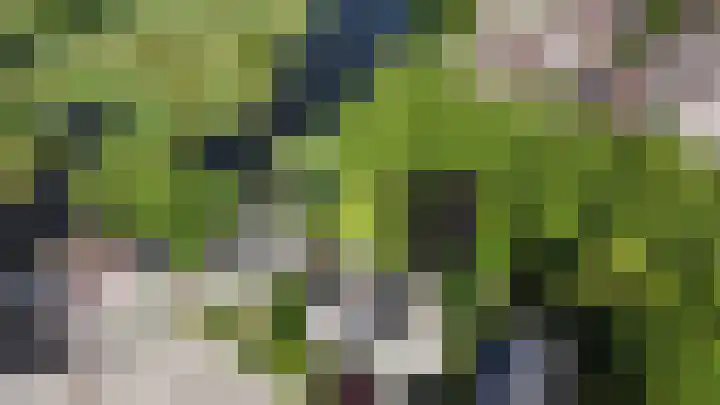 Fonteinkruid 208 Kampen thumbnail 66