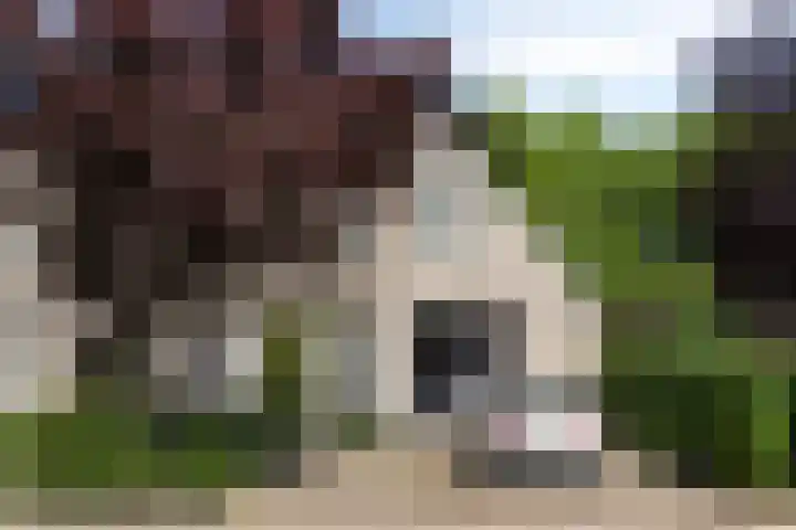 Fonteinkruid 208 Kampen thumbnail 9