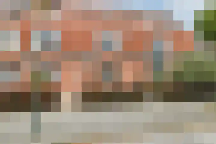 Fonteinkruid 25 Elst