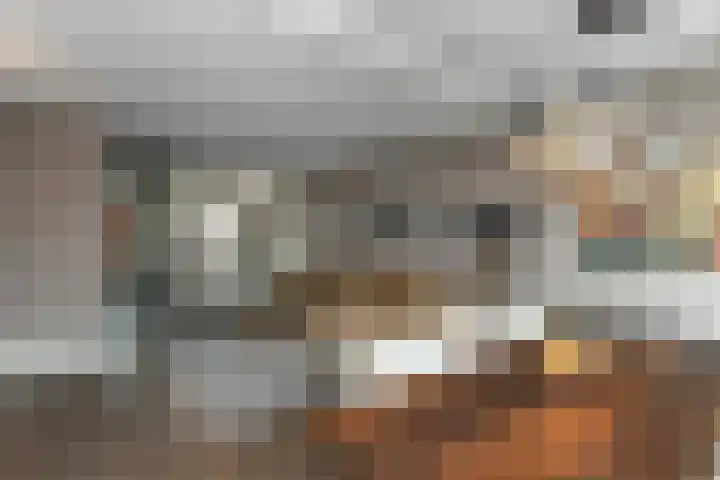Fonteinkruid 25 Elst thumbnail 12