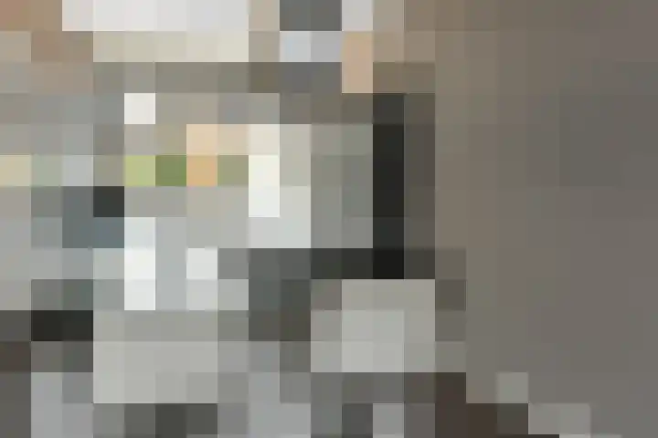 Fonteinkruid 25 Elst thumbnail 14