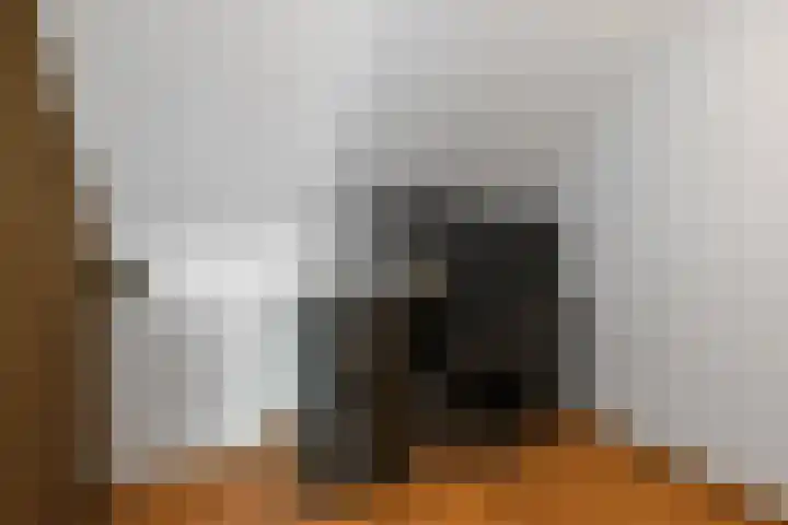 Fonteinkruid 25 Elst thumbnail 39