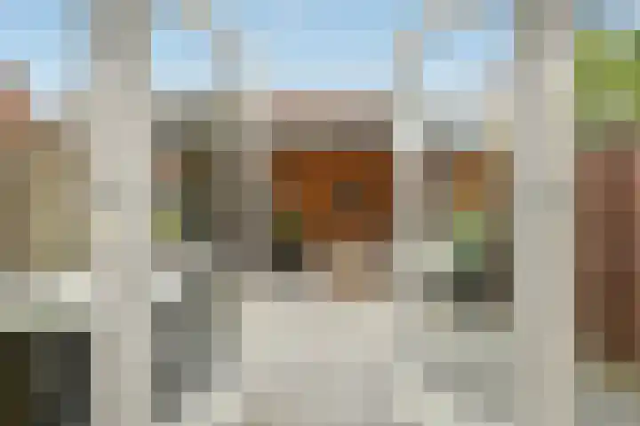 Fonteinkruid 25 Elst thumbnail 40