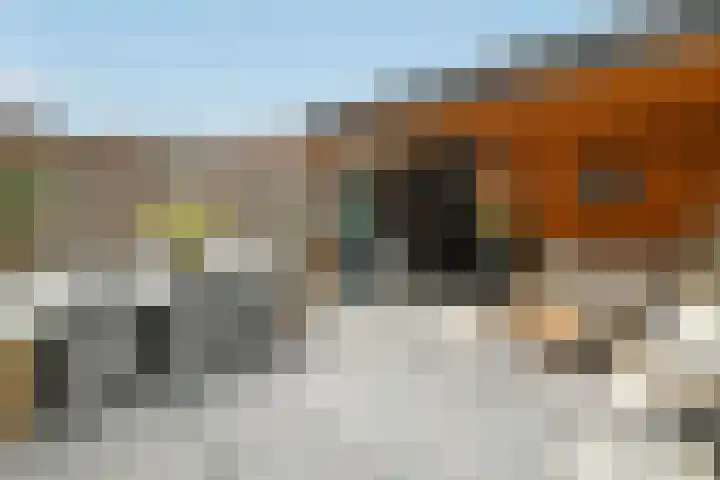 Fonteinkruid 25 Elst thumbnail 41