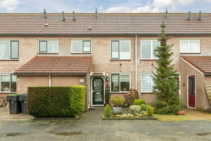 Fonteinkruid 31 in Oudkarspel foto