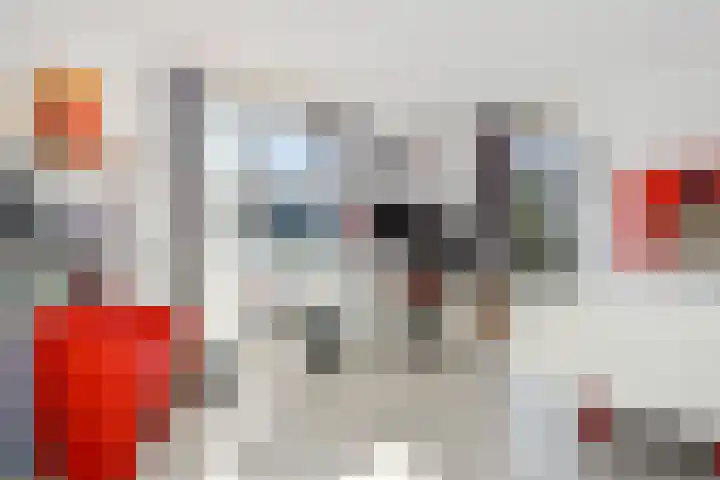 Fonteinkruid 33 Nootdorp thumbnail 19
