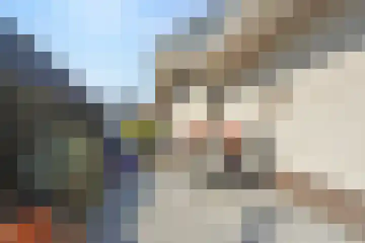 Fonteinkruid 33 Nootdorp thumbnail 45