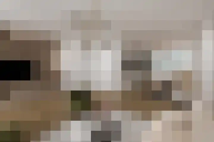 Fonteinkruid 39 Kockengen thumbnail 11