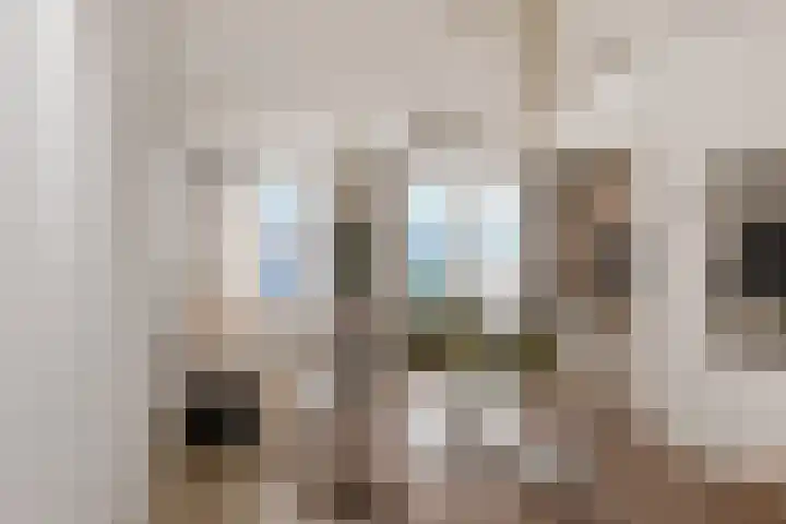Fonteinkruid 39 Kockengen thumbnail 12