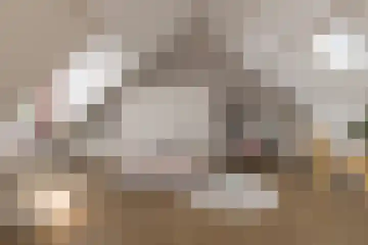 Fonteinkruid 39 Kockengen thumbnail 30