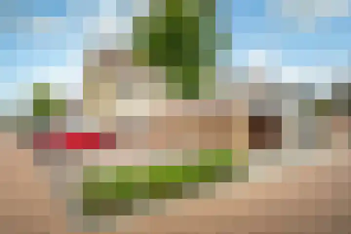 Fonteinkruid 39 Kockengen thumbnail 37