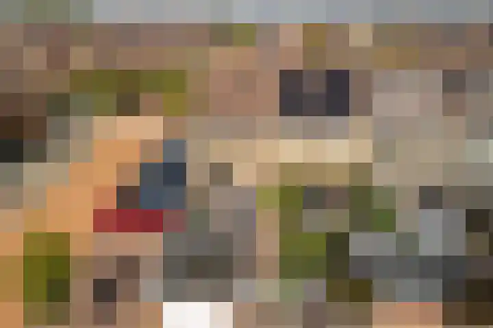Fonteinkruid 39 Kockengen thumbnail 4
