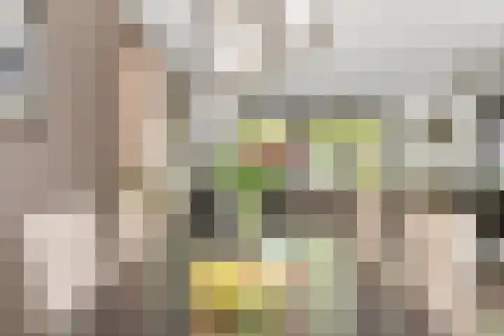 Fonteinkruidlaan 11 Enschede thumbnail 12