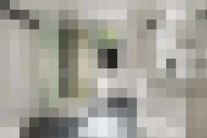 Fonteinkruidlaan 11 Enschede thumbnail 23