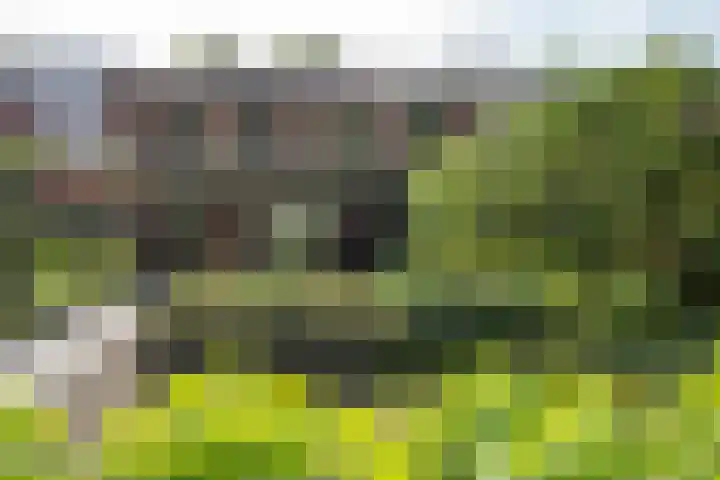 Fonteinkruidlaan 11 Enschede thumbnail 37